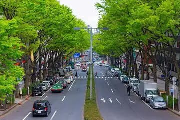تصویر خبر: سرزمین خودروهای کوچک، در قلب صنعت خودروسازی / چرا در ژاپن لندکروز سوار نمیشوند؟
